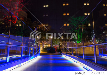 イルミネーション 17339133