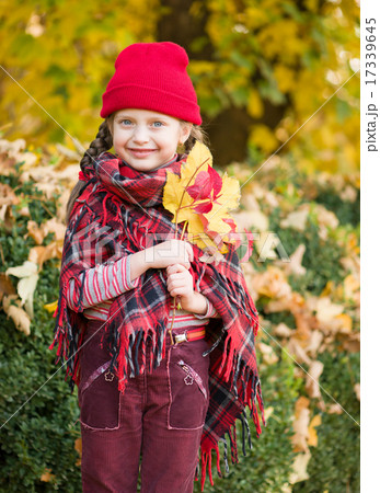 little girl in autumn park little girl in autumn park 17339645