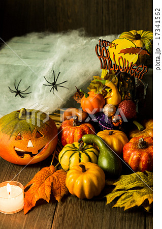 ハロウィンイメージ ハロウィンイメージ 17341562