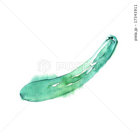 キュウリ キュウリ 17343911