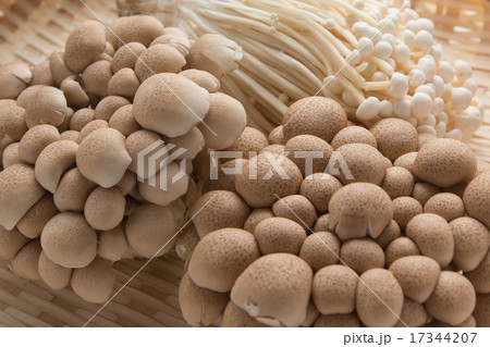 しめじ　えのき茸 17344207