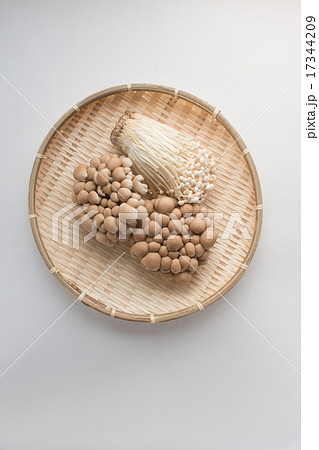 しめじ　えのき茸 17344209