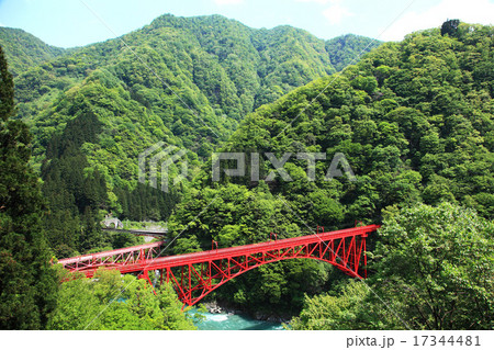 黒部川と新山彦橋 17344481