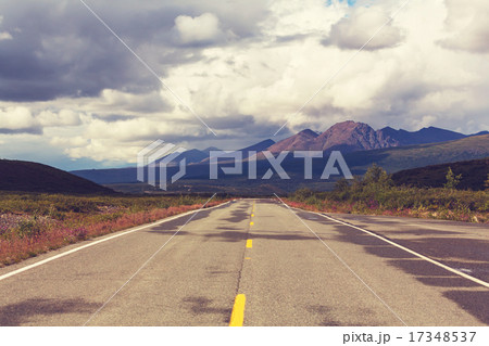 Denali highway 17348537