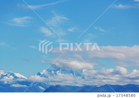 McKinley McKinley 17348580