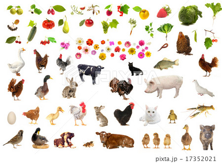 farming farming 17352021
