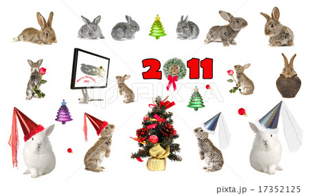 Year of a hare Year of a hare 17352125
