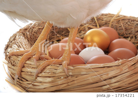 hen 17354221