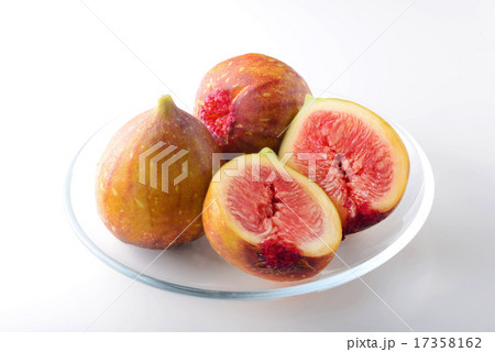 いちじく 17358162