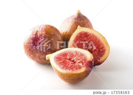 いちじく 17358163