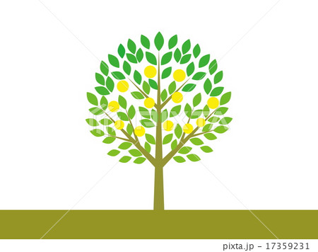 木 果実 木 果実 17359231