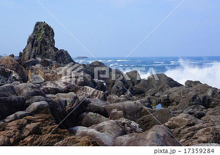 室戸世界ジオパークのビシャゴ岩 17359284