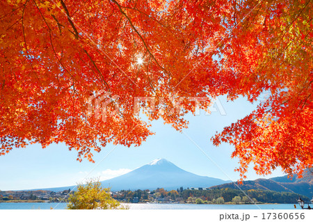 紅葉と富士山 紅葉と富士山 17360656