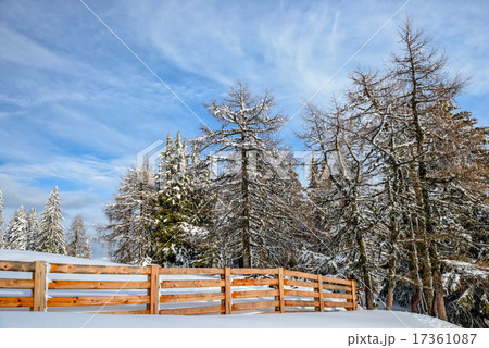 Winter forest and wood fence 17361087