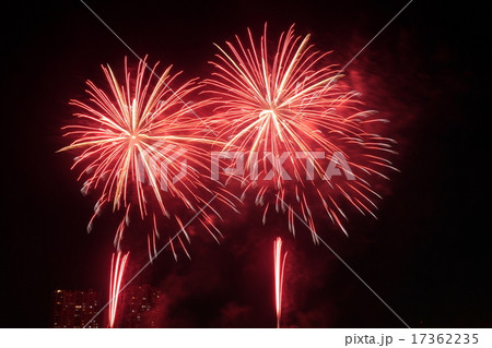 花火 17362235