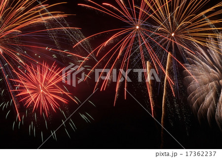 花火 17362237
