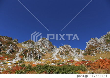 山の紅葉 17362521