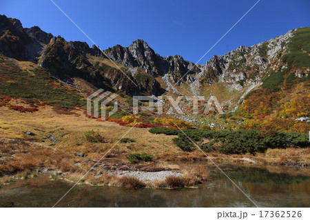山の紅葉 17362526