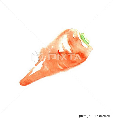 ニンジン 17362626