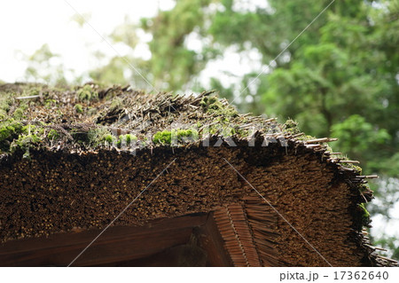 （鹿苑寺）金閣寺　かやぶき屋根 17362640