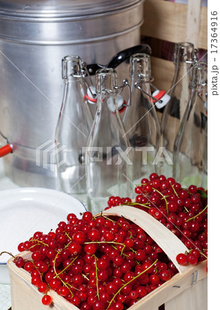 Ripe red currants for syrup Ripe red currants for syrup 17364916