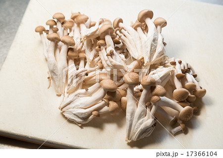 しめじ 17366104
