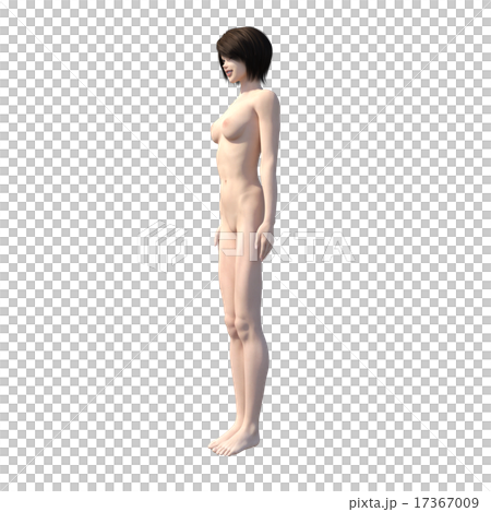 女性のボディー（フルヌード）　perming3DCGイラスト素材 17367009