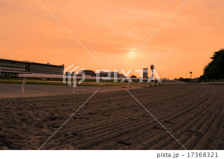 夕暮れの競馬場 夕暮れの競馬場 17368321