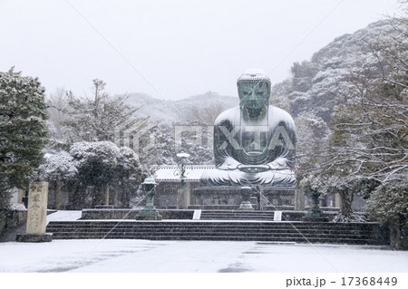 雪の鎌倉大仏 17368449