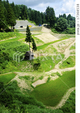 震災から復旧した棚田 17368538