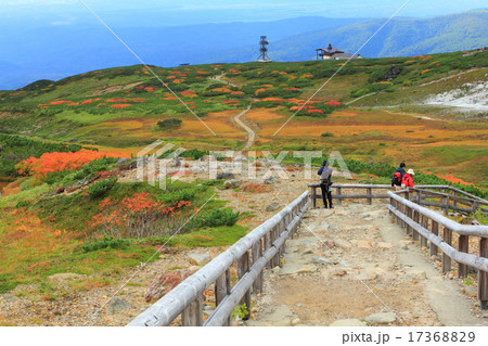 紅葉旭岳眺望 17368829