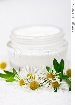 cream and camomiles 17370467