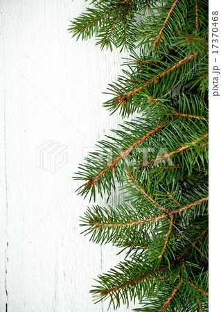christmas fir tree christmas fir tree 17370468