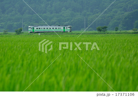 水田地帯を走るキハ40 水田地帯を走るキハ40 17371106
