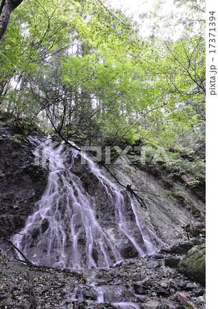 大雨で森にできた滝 17371394