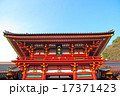 鎌倉鶴岡八幡宮～本殿～ 17371423