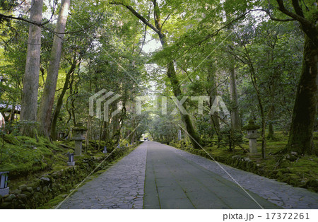 名勝那谷寺の参道 名勝那谷寺の参道 17372261