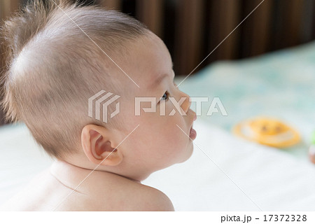 生後4か月の赤ちゃん 17372328