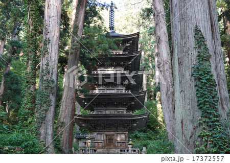羽黒山五重塔がひっそり木立の中 17372557