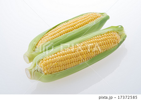 とうもろこし とうもろこし 17372585