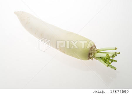 大根 大根 17372690