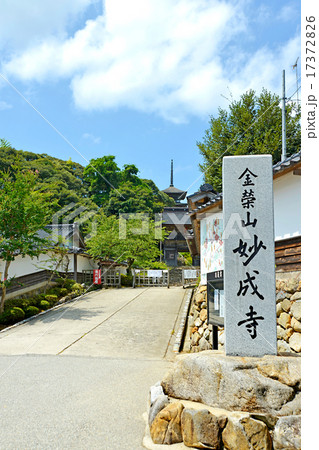 金栄山妙成寺 17372826