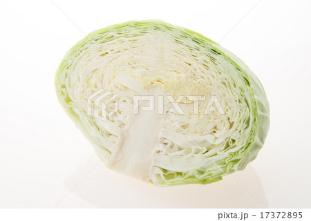 ハーフカットキャベツ ハーフカットキャベツ 17372895