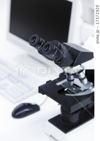 オフィス オフィス 17372920