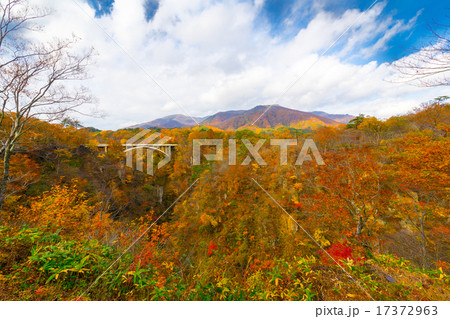 鳴子峡「大深沢橋」 鳴子峡「大深沢橋」 17372963
