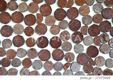 small tree bark on wall as background small tree bark on wall as background 17373009