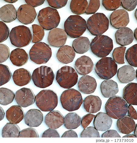 small tree bark on wall as background small tree bark on wall as background 17373010
