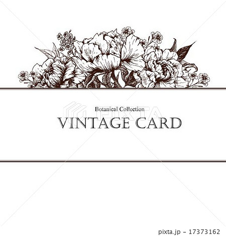 Vintage floral vector card 17373162