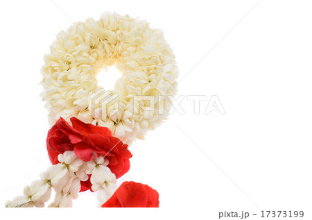 Thai jasmine garland isolated on white 17373199