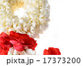 closedup jasmine garland isolated on white 17373200